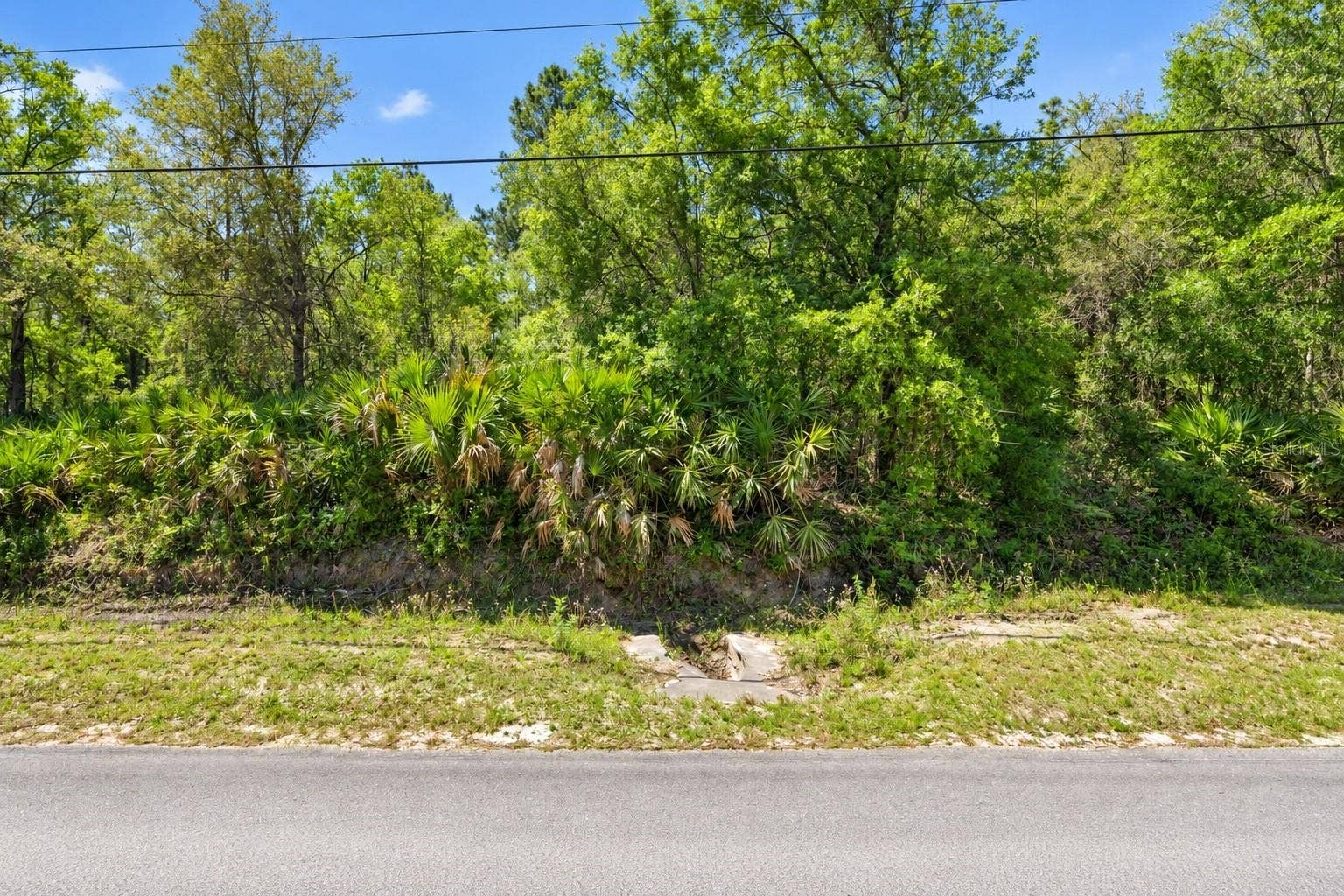 2534 LANCEWOOD STREET, Bunnell, FL 32110 2534 LANCEWOOD STREET, Bunnell, FL 32110