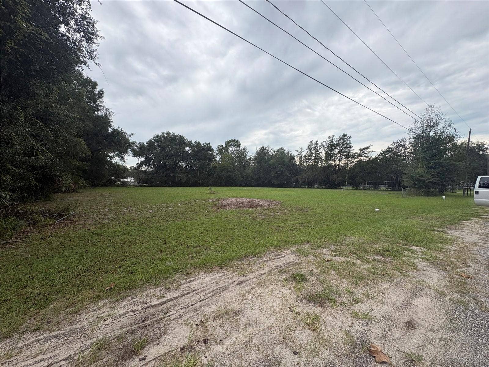 517 ORANGE STREET, Welaka, FL 32193 Front Road View