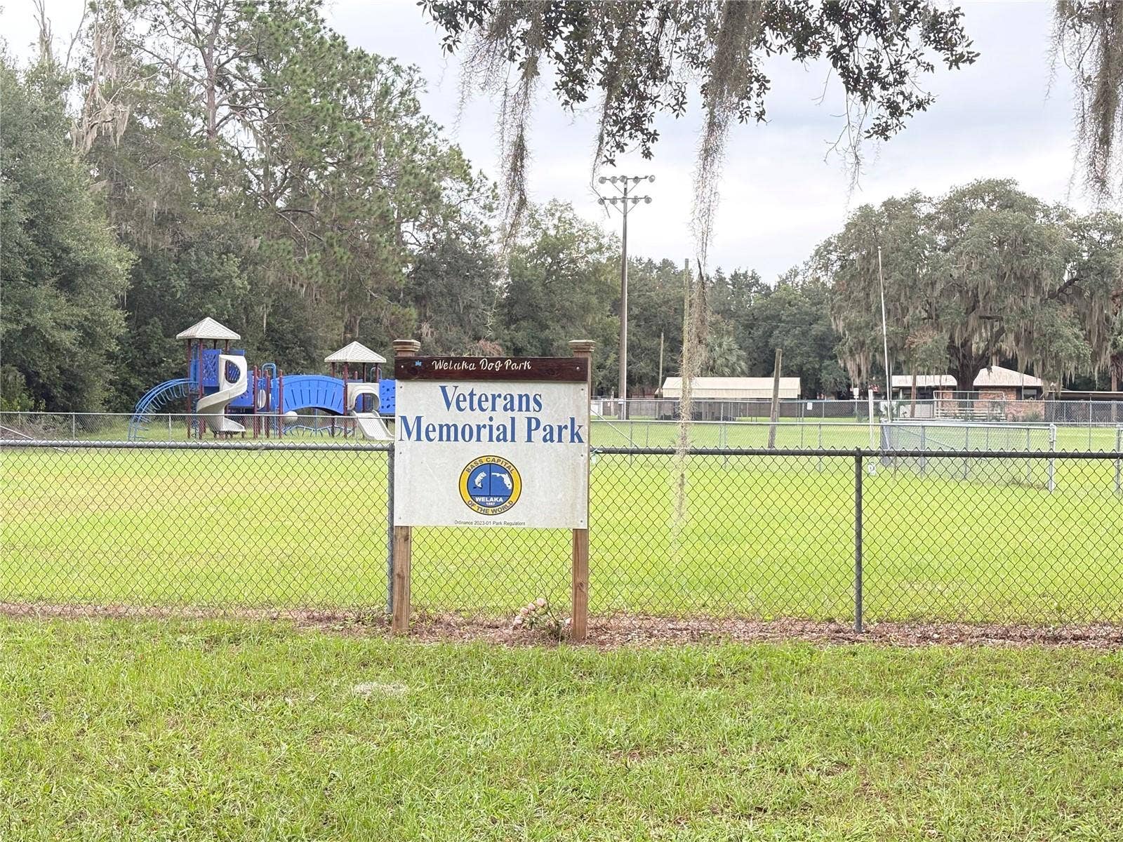 517 ORANGE STREET, Welaka, FL 32193 Park