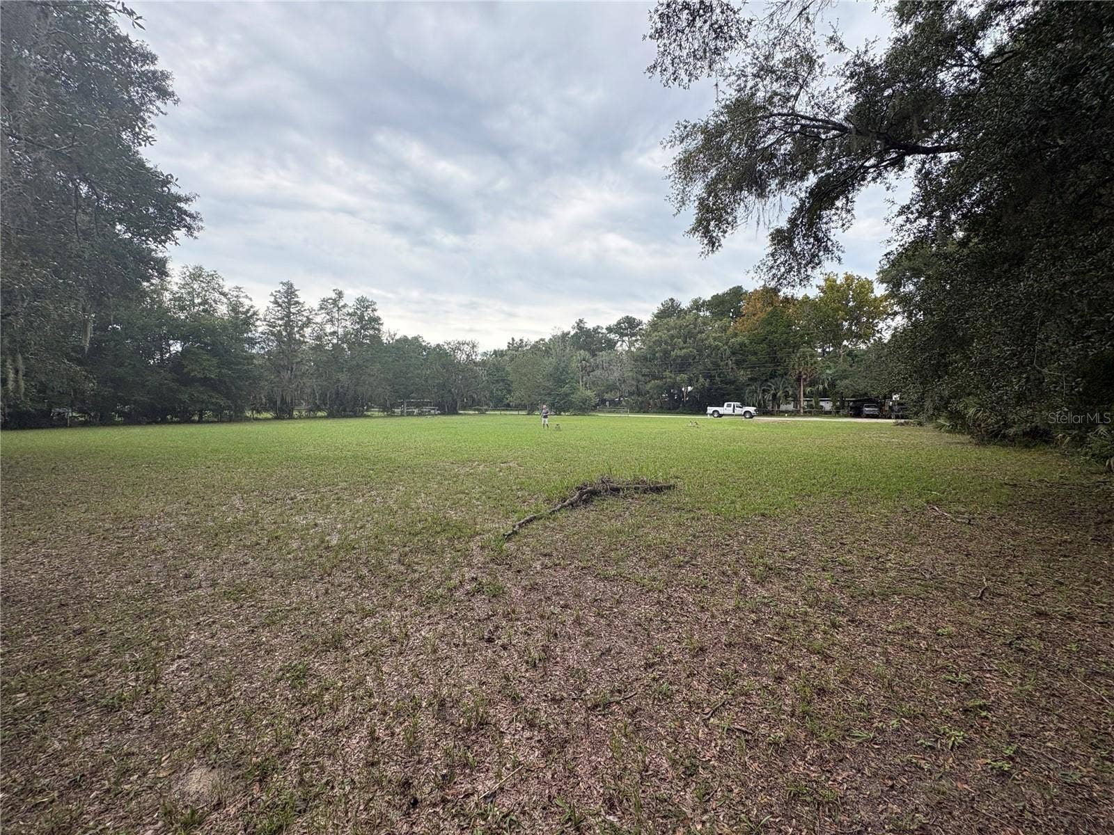 517 ORANGE STREET, Welaka, FL 32193 Back View 2