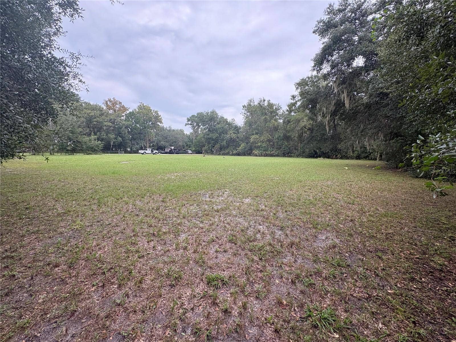 517 ORANGE STREET, Welaka, FL 32193 Back View 1
