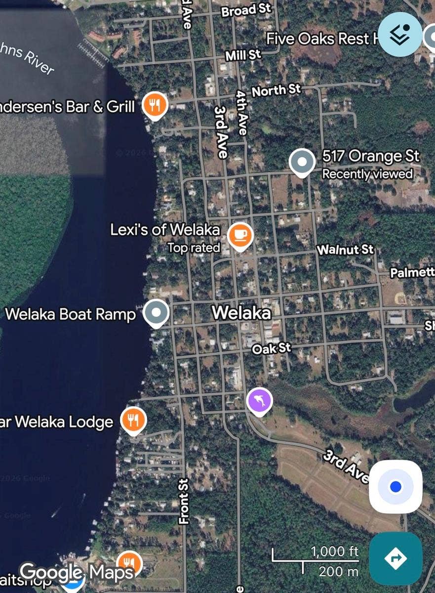 517 ORANGE STREET, Welaka, FL 32193 Aerial