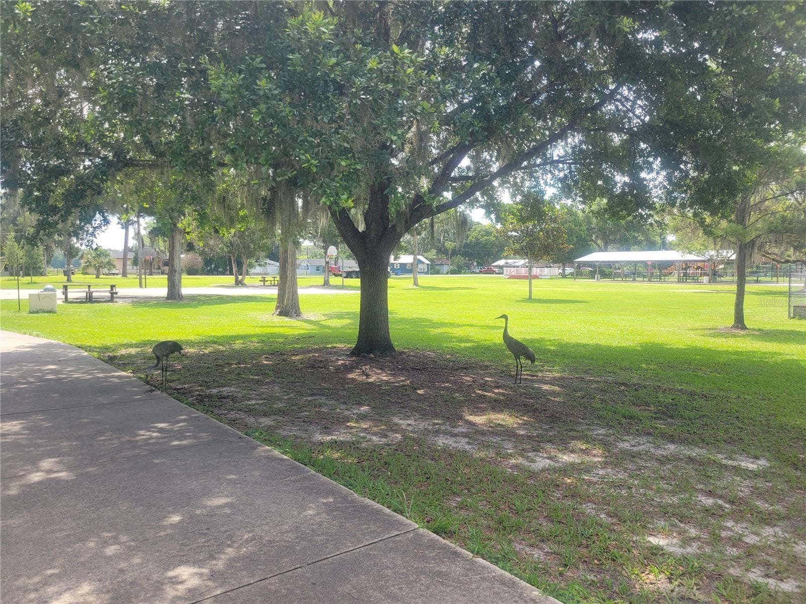 S LAKEVIEW DRIVE, Lake Helen, FL 32744