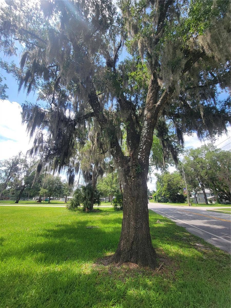 S LAKEVIEW DRIVE, Lake Helen, FL 32744