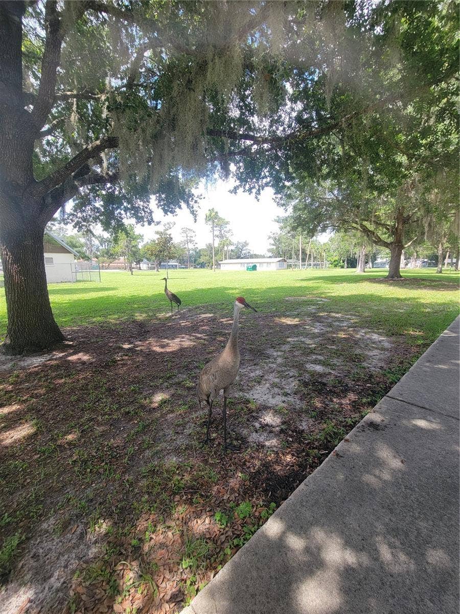 S LAKEVIEW DRIVE, Lake Helen, FL 32744