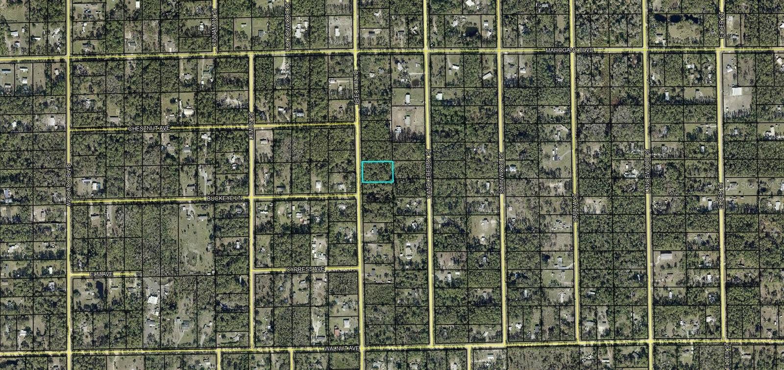 1689 BEECH BOULEVARD, Bunnell, FL 32110 1689 BEECH BOULEVARD, Bunnell, FL 32110
