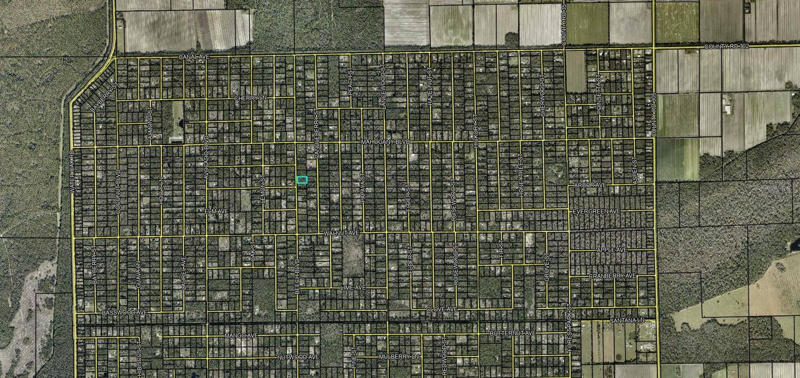 1689 BEECH BOULEVARD, Bunnell, FL 32110 1689 BEECH BOULEVARD, Bunnell, FL 32110