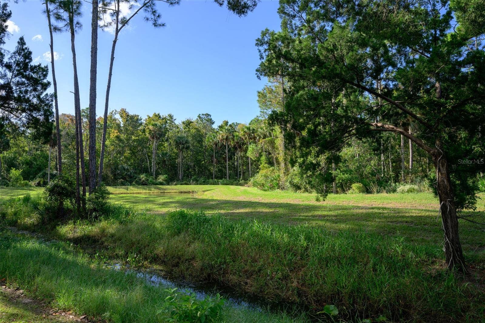46 LLAMA TRAIL, Palm Coast, FL 32164 46 LLAMA TRAIL, Palm Coast, FL 32164