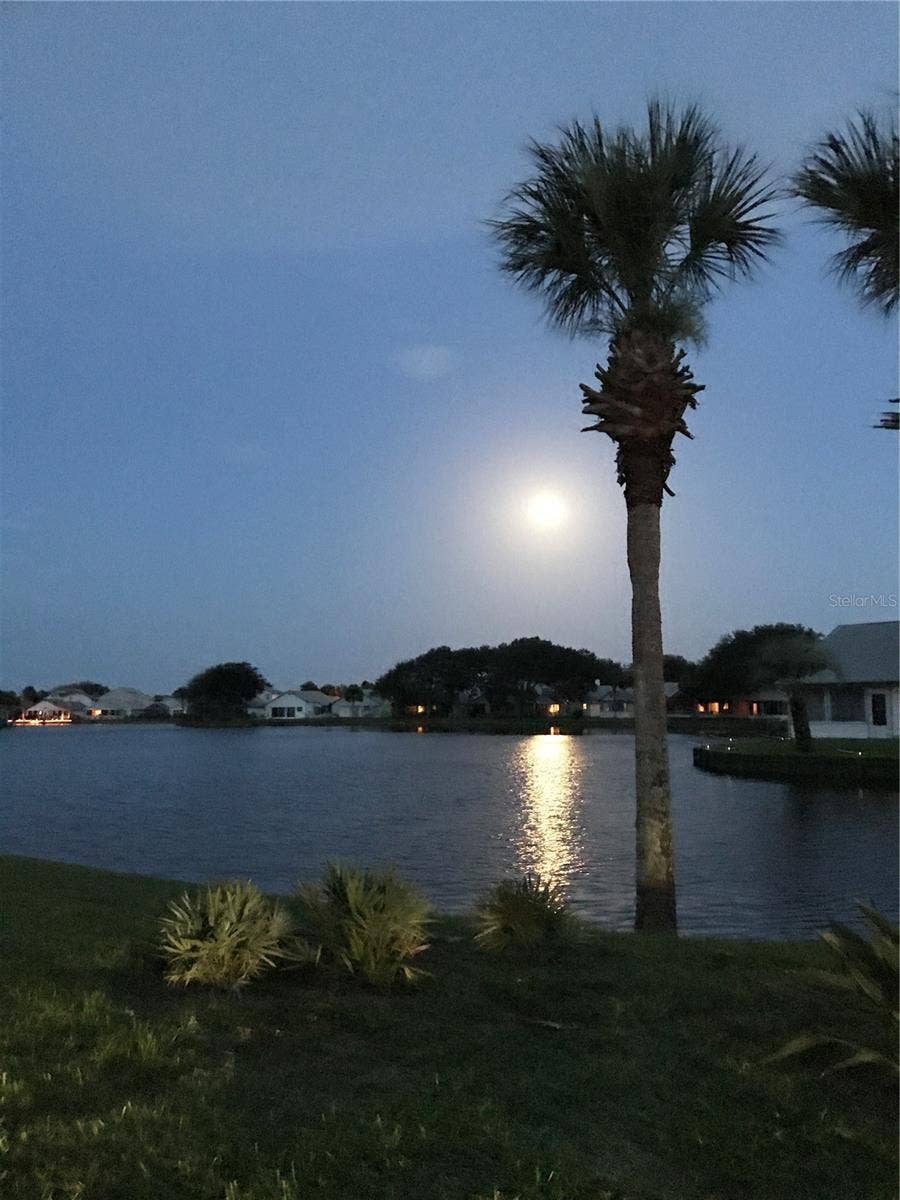 50 MEDFORD DRIVE, Palm Coast, FL 32137 Moon over ocean