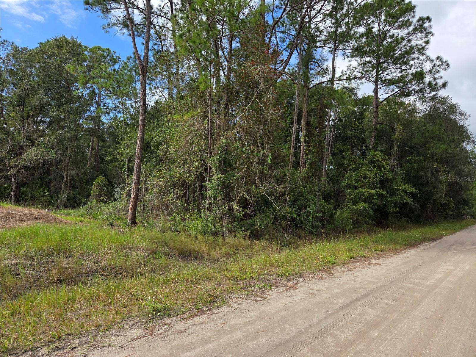 2096 ORANGE STREET, Bunnell, FL 32110