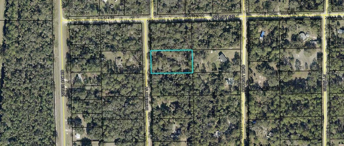 2075 BAYBERRY STREET, Bunnell, FL 32110 2075 BAYBERRY STREET, Bunnell, FL 32110