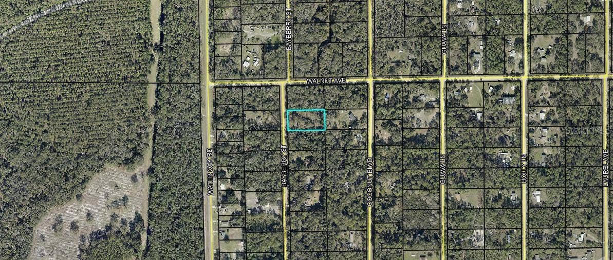 2075 BAYBERRY STREET, Bunnell, FL 32110 2075 BAYBERRY STREET, Bunnell, FL 32110
