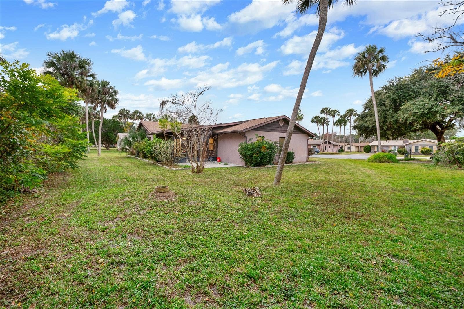 Large Backyard