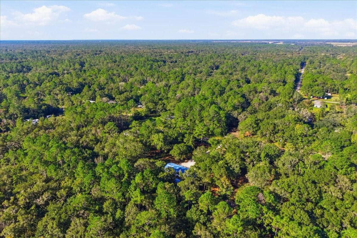 9860 NIKOLICH AVENUE, Hastings, FL 32145 9860 NIKOLICH AVENUE, Hastings, FL 32145