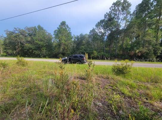 101 MIMOSA STREET, Georgetown, FL 32139