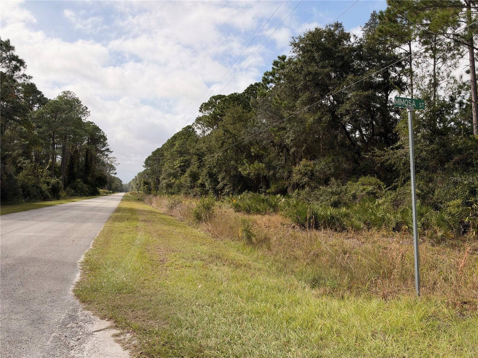 101 MIMOSA STREET, Georgetown, FL 32139