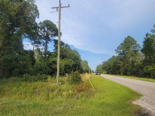 101 MIMOSA STREET, Georgetown, FL 32139