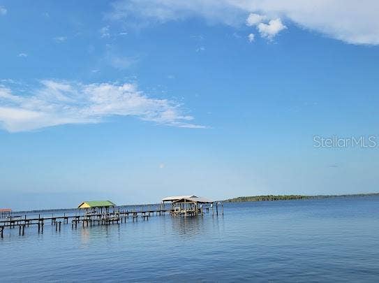 101 MIMOSA STREET, Georgetown, FL 32139