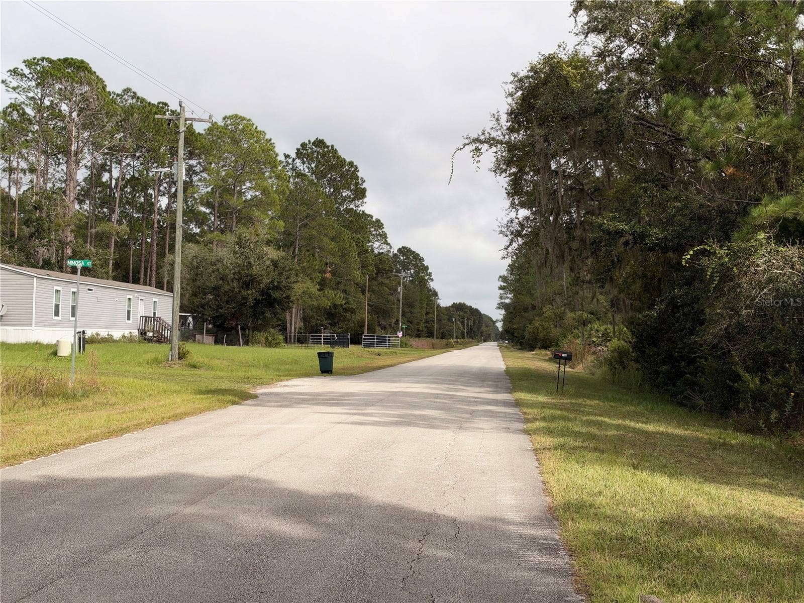 101 MIMOSA STREET, Georgetown, FL 32139