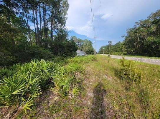 101 MIMOSA STREET, Georgetown, FL 32139