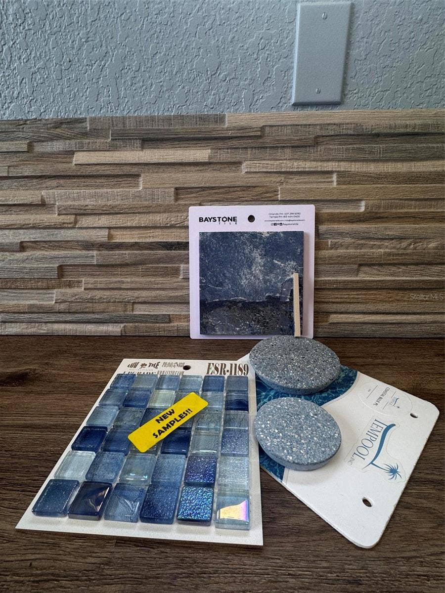 163 BRIDGEHAVEN DRIVE, Palm Coast, FL 32137 Pool tile selections and waterfall accents