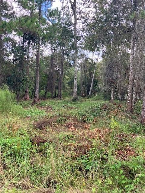 Property photo for 1881 HAZELNUT STREET, Bunnell, FL