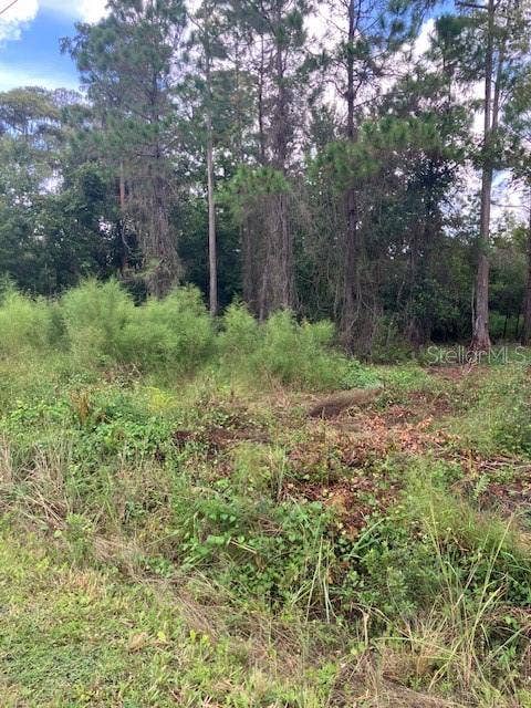 1881 HAZELNUT STREET, Bunnell, FL 32110