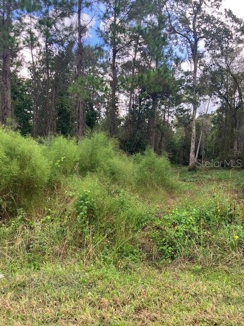 1881 HAZELNUT STREET, Bunnell, FL 32110