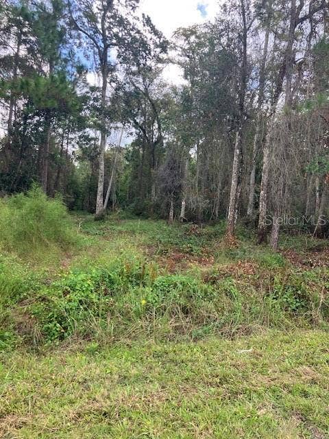 1881 HAZELNUT STREET, Bunnell, FL 32110