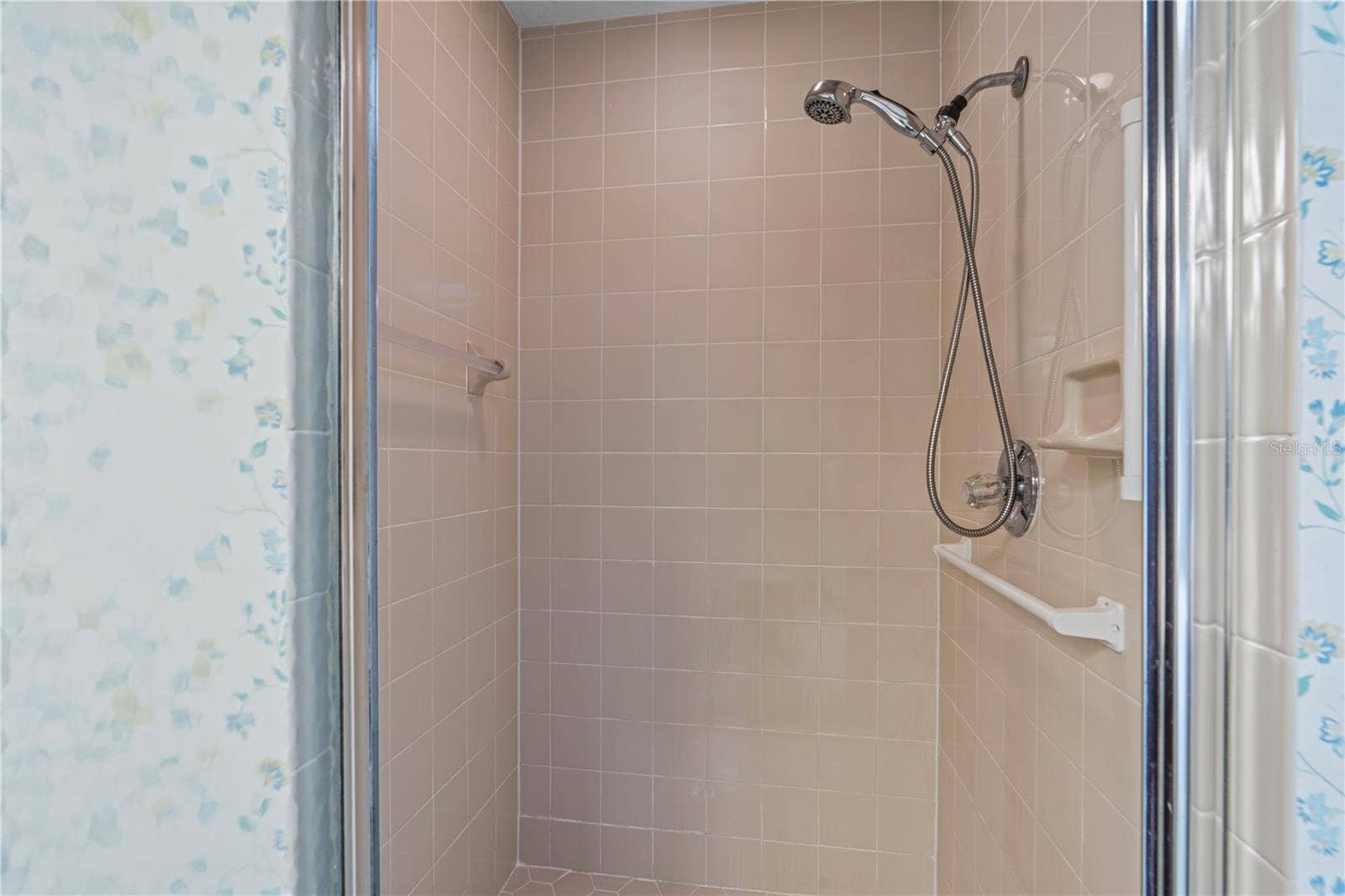 245 GLENBRIAR CIRCLE, Daytona Beach, FL 32114 Step in Shower