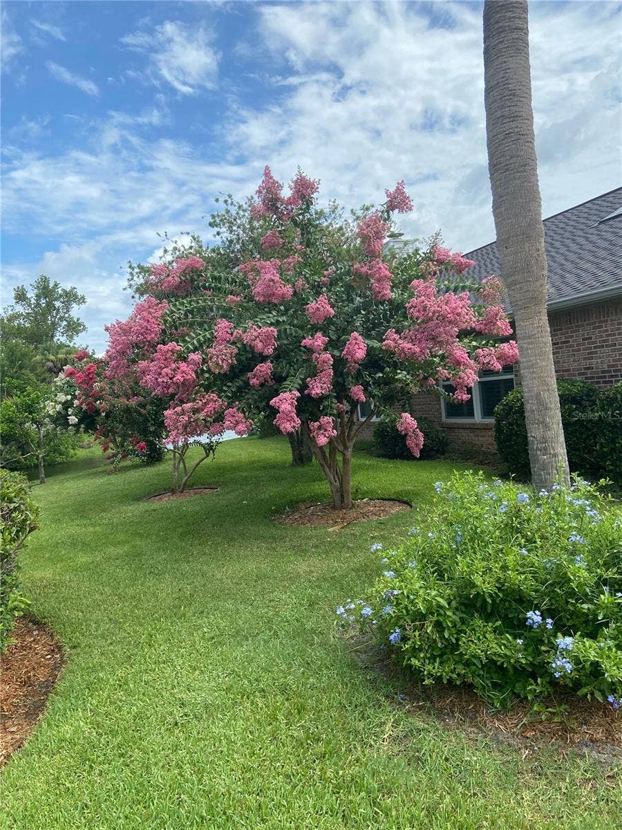 109 MORNING DOVE COURT, Daytona Beach, FL 32119 109 MORNING DOVE COURT, Daytona Beach, FL 32119