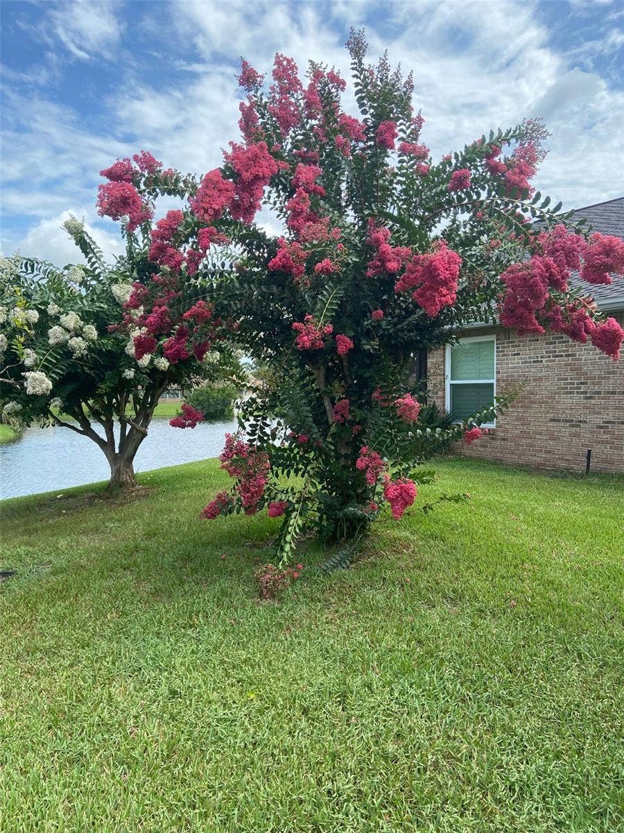 109 MORNING DOVE COURT, Daytona Beach, FL 32119 109 MORNING DOVE COURT, Daytona Beach, FL 32119