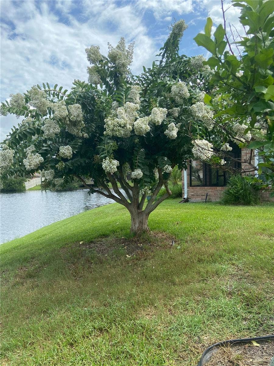 109 MORNING DOVE COURT, Daytona Beach, FL 32119 109 MORNING DOVE COURT, Daytona Beach, FL 32119