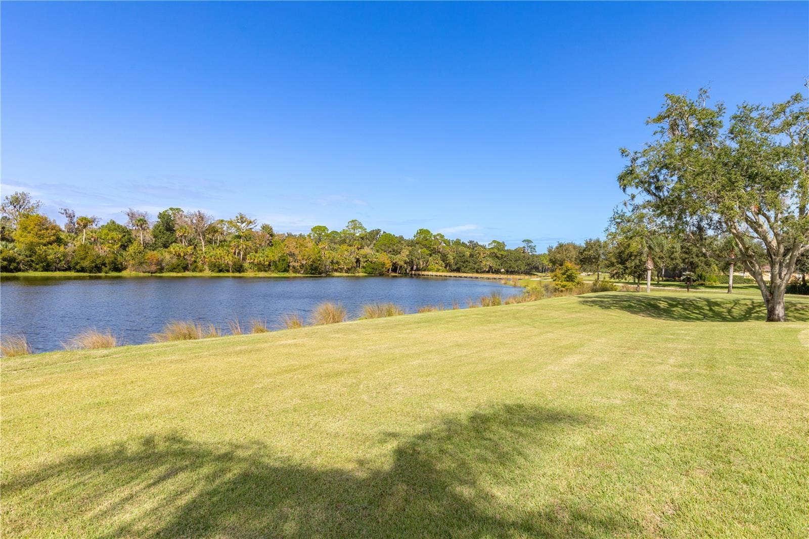 202 WILLOW OAK WAY, Palm Coast, FL 32137 202 WILLOW OAK WAY, Palm Coast, FL 32137