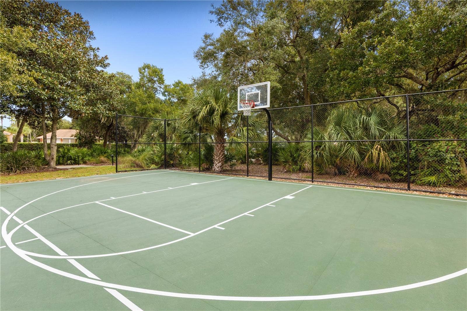 202 WILLOW OAK WAY, Palm Coast, FL 32137 Basketball court