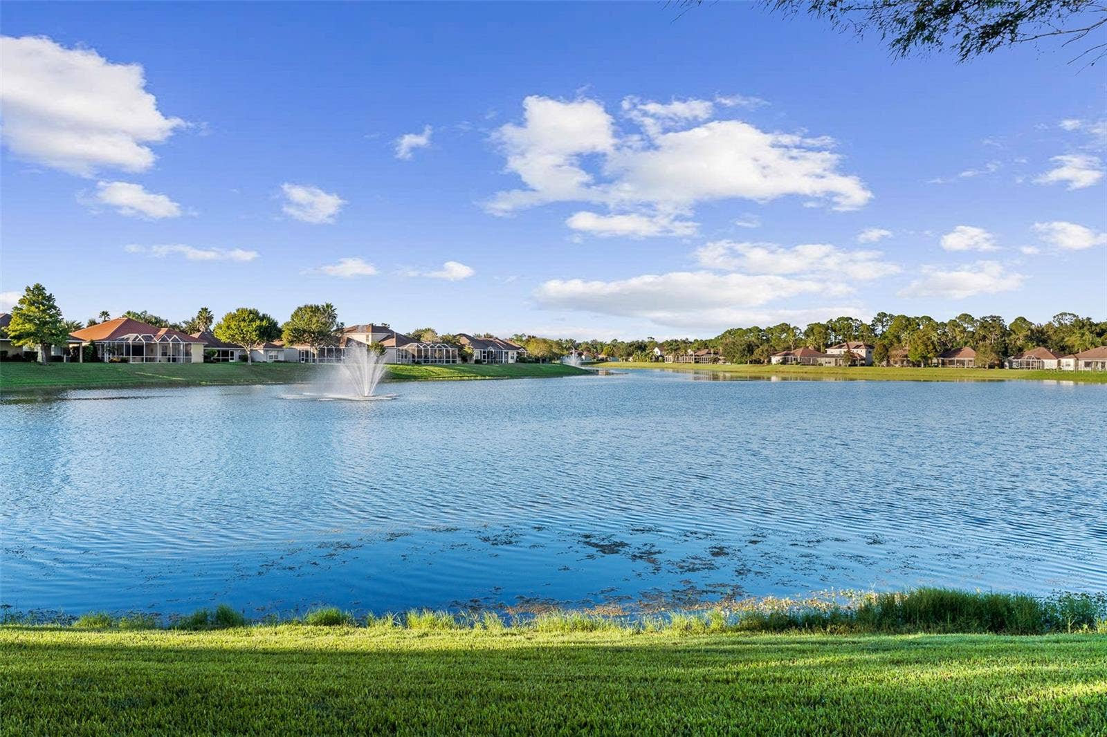 Close up of Lake