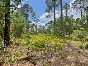 Property photo for S OBRIEN ROAD, Groveland, FL