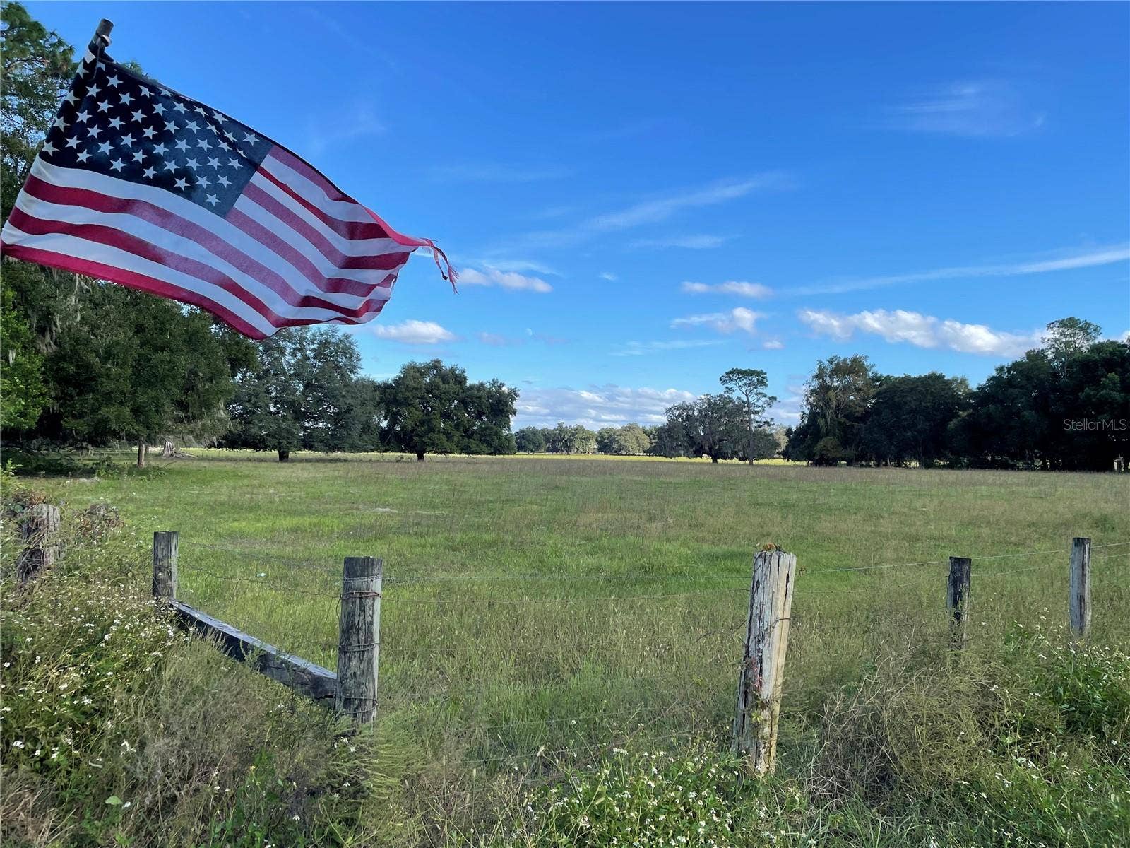 Webster, FL 33597 Webster, FL 33597