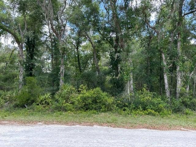 Property photo for 6471 OTTER DRIVE, Webster, FL