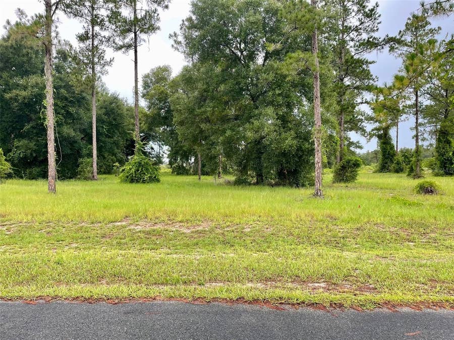 Property photo for Lot 16 BONSMARA DRIVE, Groveland, FL