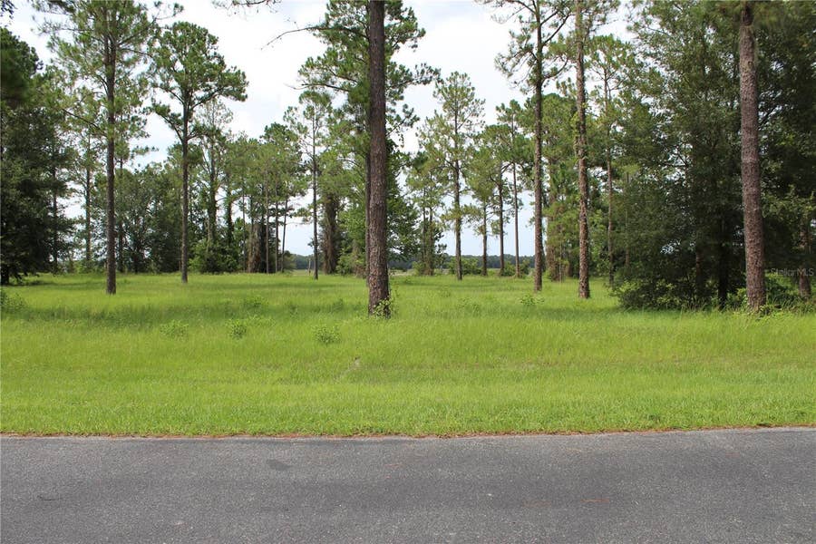 Property photo for Lot 33 BONSMARA DRIVE, Groveland, FL