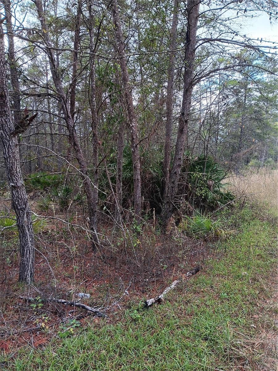 Property photo for 5144 W OSMOND LANE, Dunnellon, FL