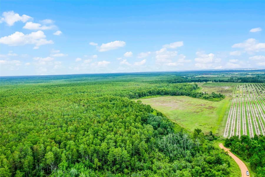 Property photo for S BOGGY MARSH ROAD, Clermont, FL