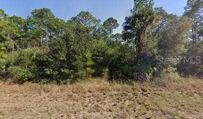 Property photo for 717 BROOKLYN LOOP, Labelle, FL