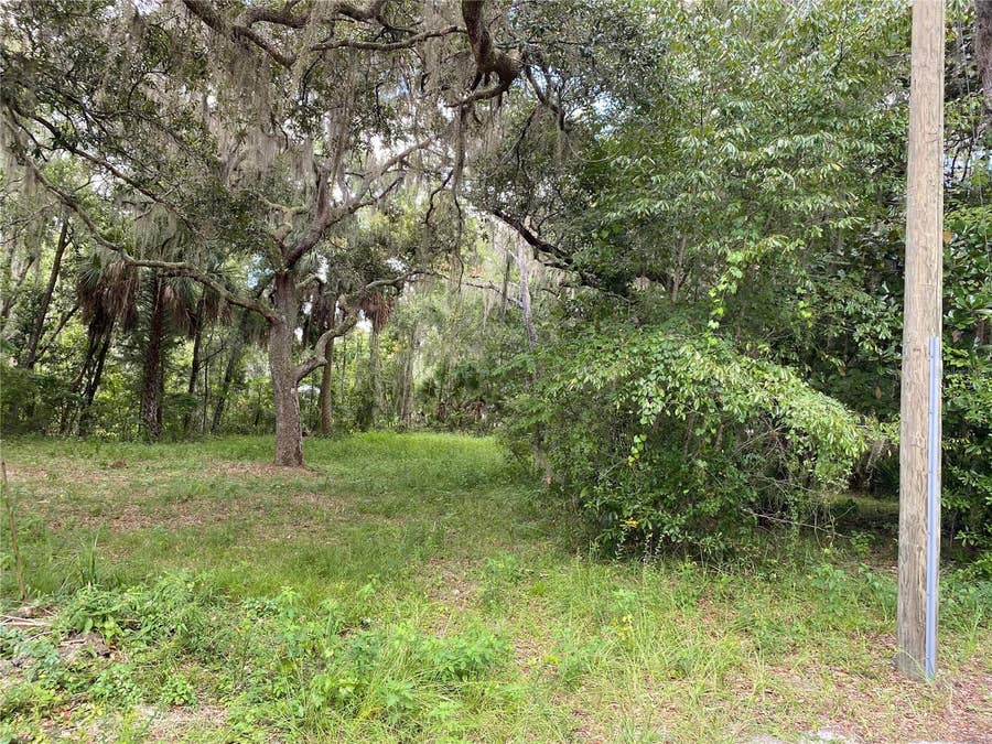 Property photo for CR 448C, Lake Panasoffkee, FL