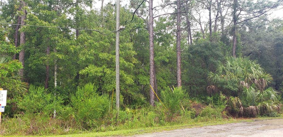 Property photo for 1179 N TESSA TERRACE, Crystal River, FL