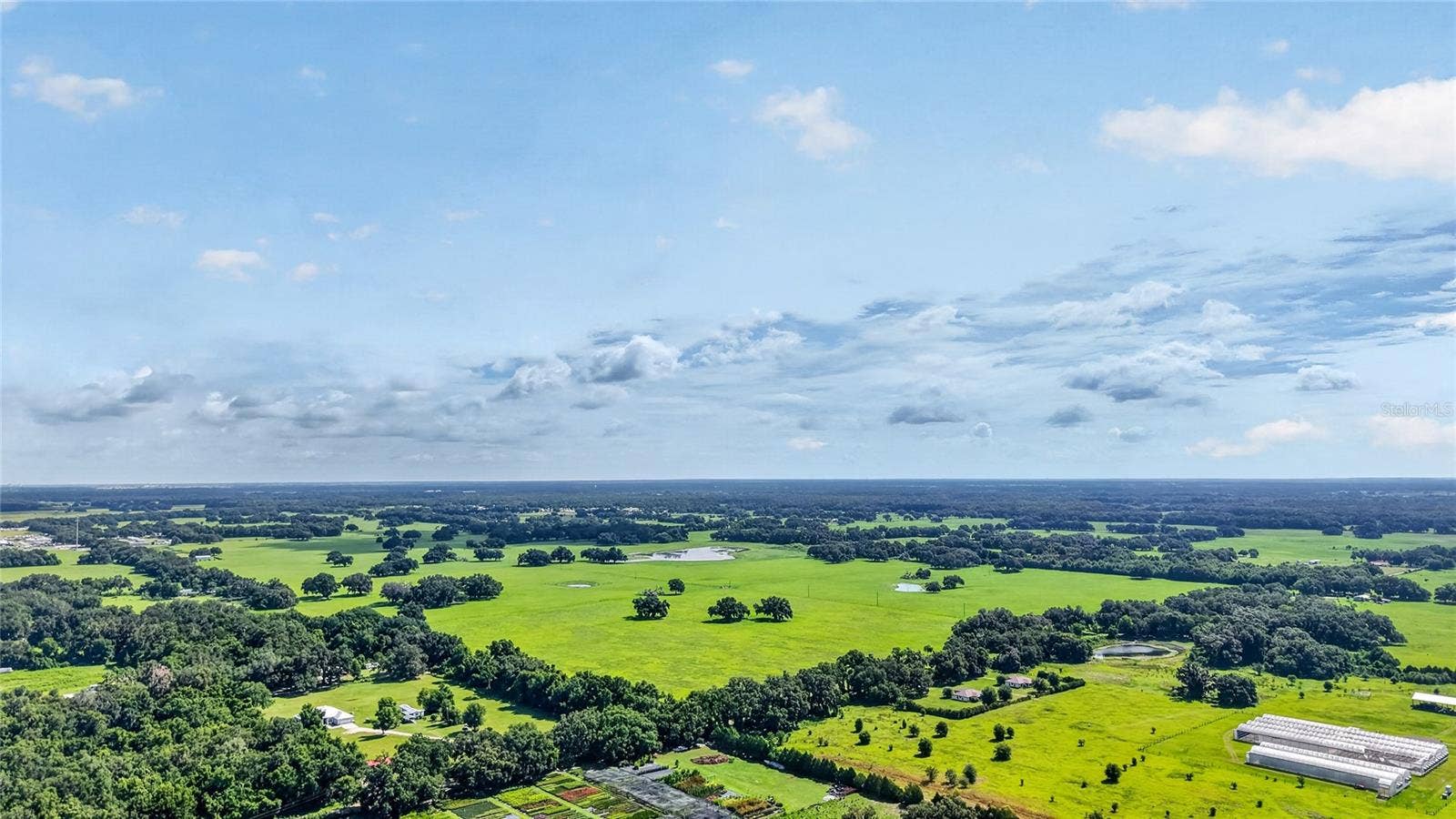 TBD E C 478, Webster, FL 33597 TBD E C 478, Webster, FL 33597