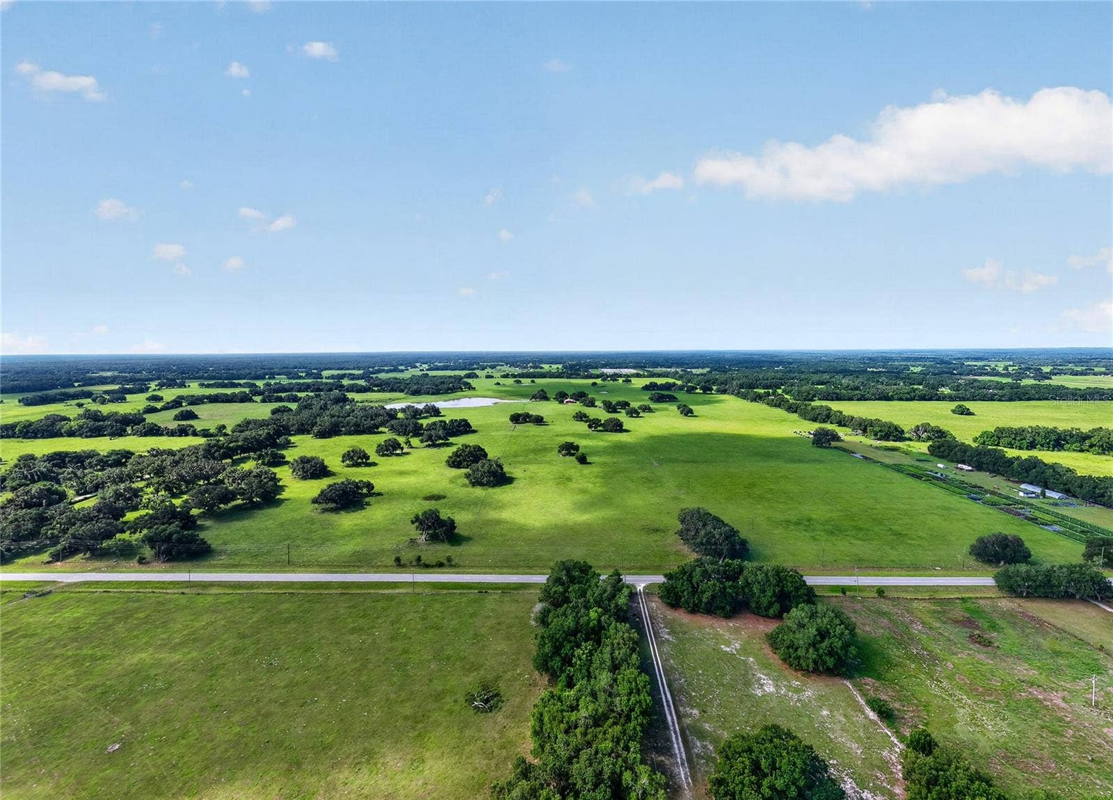 TBD E C 478, Webster, FL 33597 TBD E C 478, Webster, FL 33597