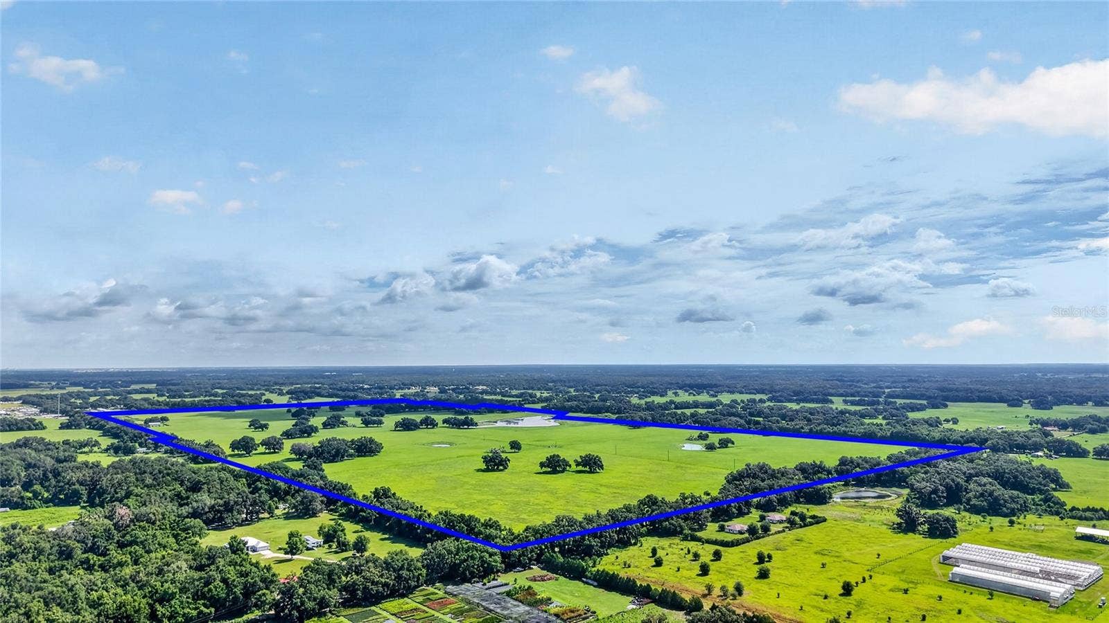 TBD E C 478, Webster, FL 33597 TBD E C 478, Webster, FL 33597