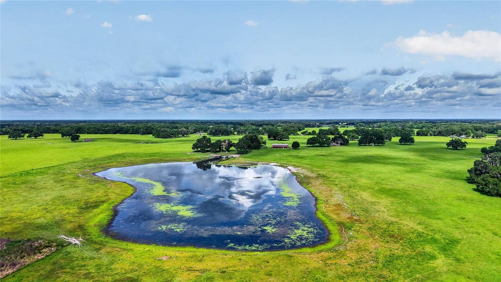TBD E C 478, Webster, FL 33597 TBD E C 478, Webster, FL 33597